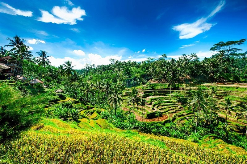 Umgebung vom Le Méridien Jimbaran Bali