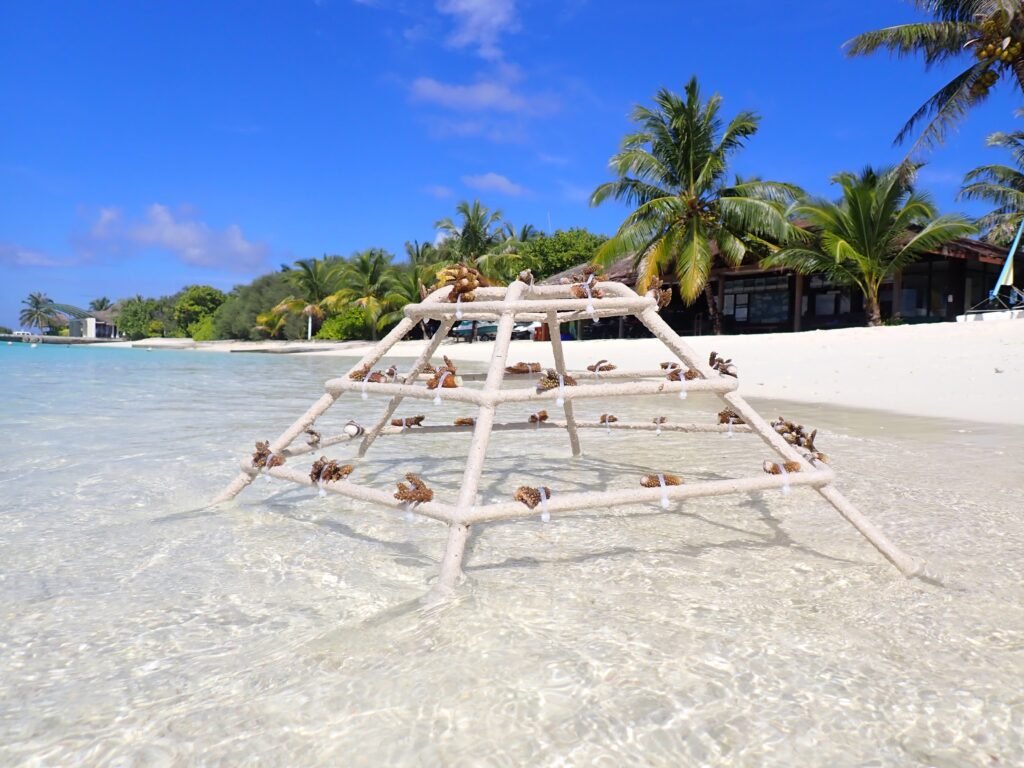 Das Sheraton Maldives Full Moon Resort & Spa ist familienfreundlich und bietet eine Vielzahl von Annehmlichkeiten und Aktivitäten für Gäste jeden Alters. (c) Marriott International
