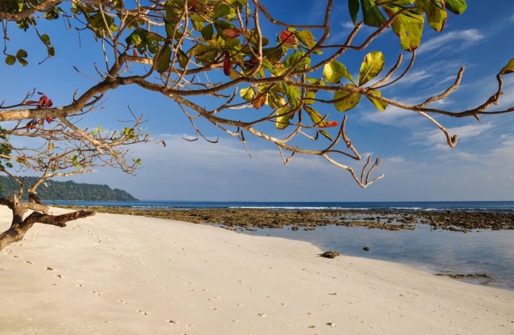 Schönste Strände der Welt: Platz 7 - Radhanagar Beach (Havelock Island, Indien)
