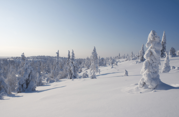 Discover Airlines erweitert ihr Angebot und fliegt dich jetzt direkt nach Finnisch-Lappland. Das ganze Jahr über kannst du Kittilä, einen Ort nur wenige Kilometer südlich des Polarkreises, bequem erreichen.